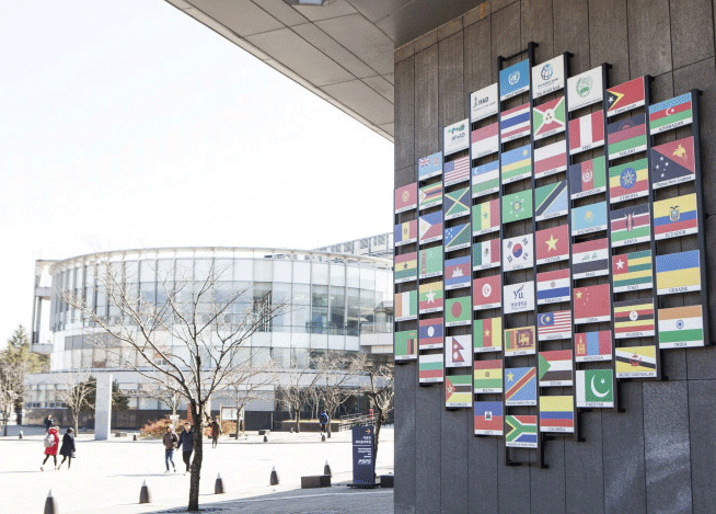 The image of flags on the wall